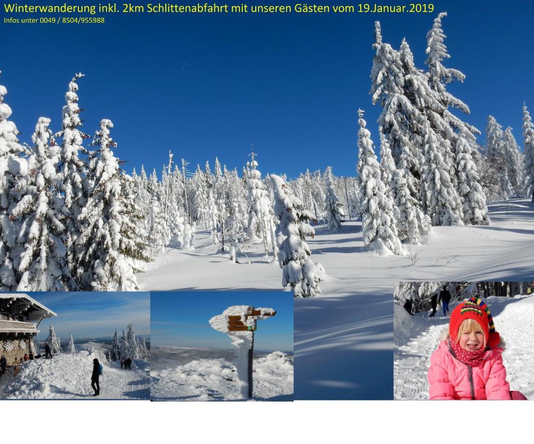 Ferienwohnung Fernblick Neukirchen vorm Wald Esterno foto